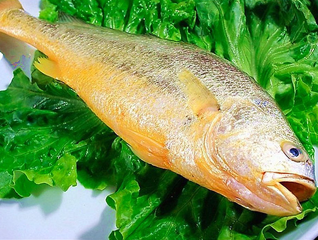 冰鮮黃花魚(yú)