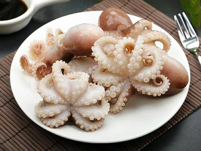 Chilled Octopus