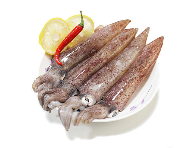 Indonesian Red Squid