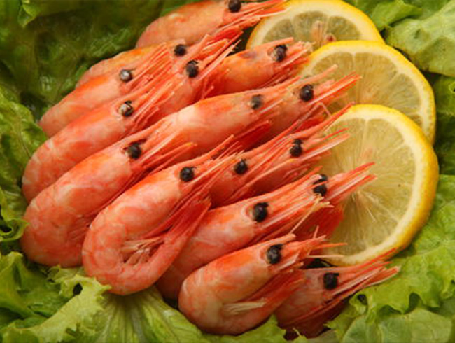 Arctic Sweet Shrimp