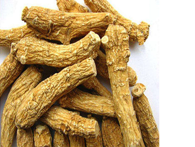 American Ginseng