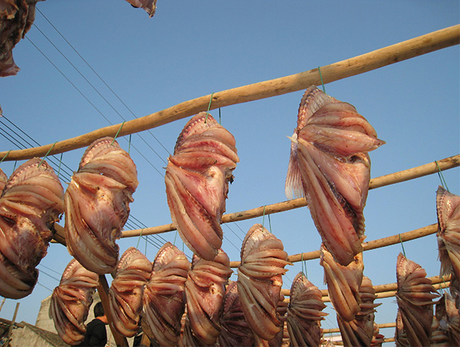 Dried red fish